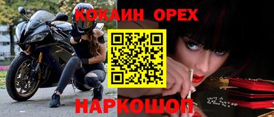 шишки Будённовск