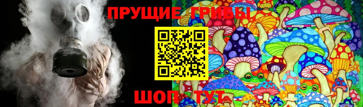 Псилоцибиновые грибы Psilocybe Соликамск